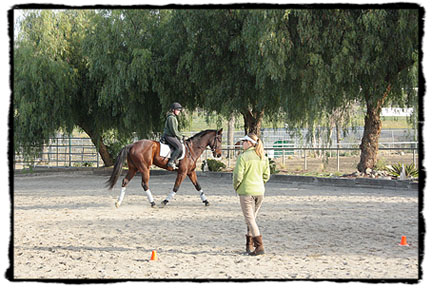 erin blazick teaching
